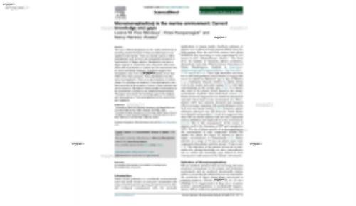 Micro(nanoplastics) in the marine environment: Current knowledge and gaps